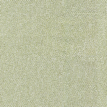 camira-era-cse33.jpg